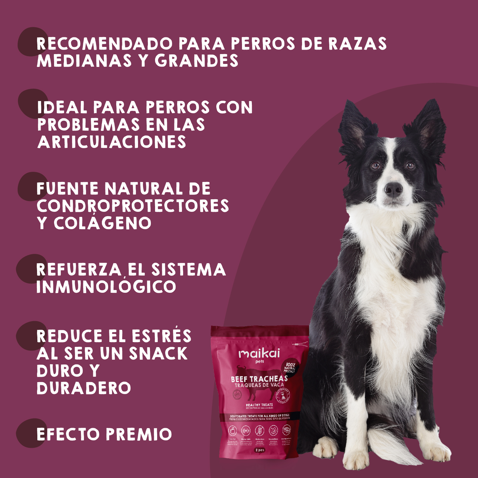 Traqueias bovinas desidratadas. Petiscos 100% naturais para cães. MAIKAI PETS. 2 unidades.