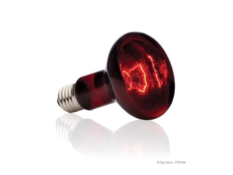 Exo Terra Terrarienlampe Infrared Basking Spot E27, R25/100 Infrarot-Spotlampe
