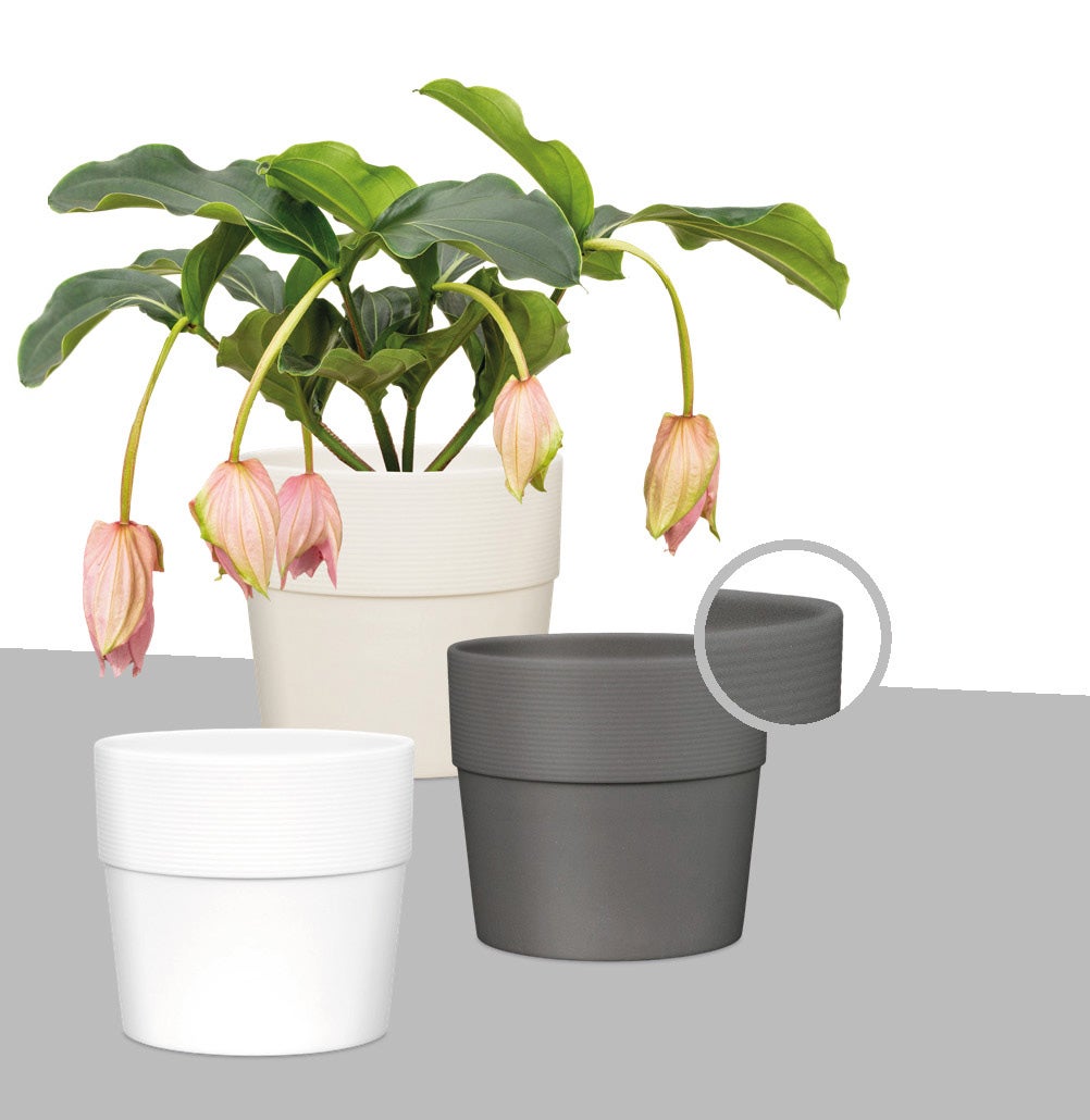 Scheurich Groove 40, bloempot/plantenbak, rond, gemaakt van kunststof, kleur: Avorio, 38 cm diameter, 35,2 cm hoog, inhoud 50,8 l.