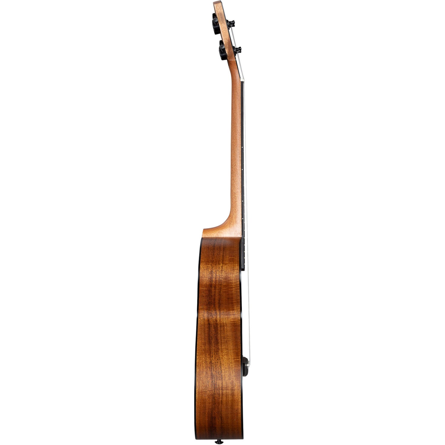 Cascha HH 2349 solid top acacia tenor ukelele set