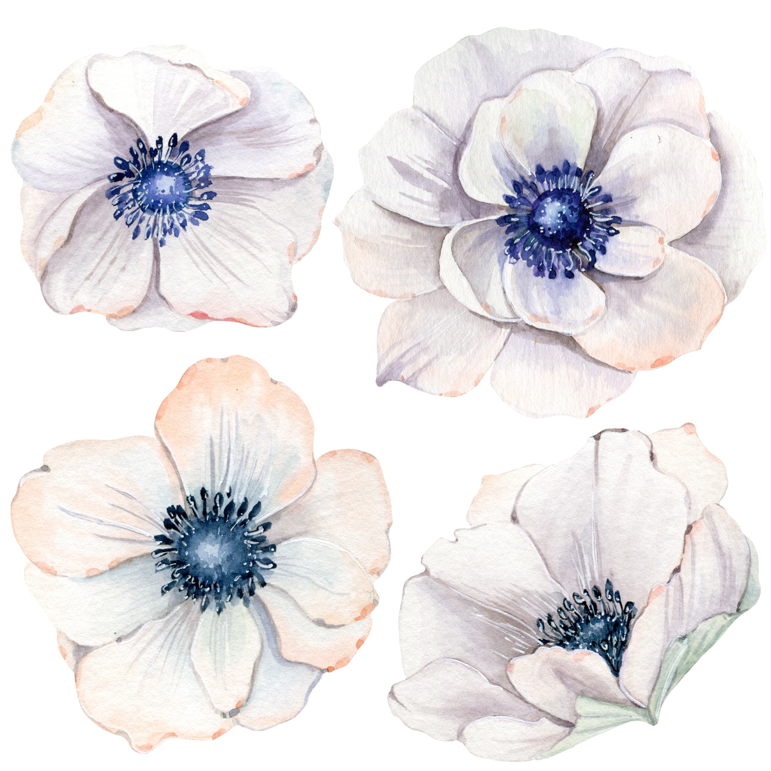 queence Wandtattoo »Mareike« Wandbild, Sticker, Blume, Blüte, selbstklebend