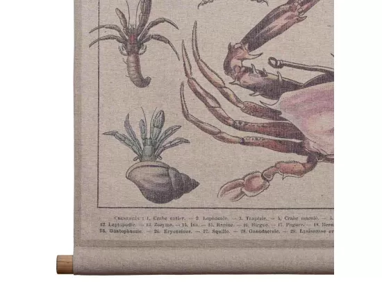 Toile imprimée en parchemin