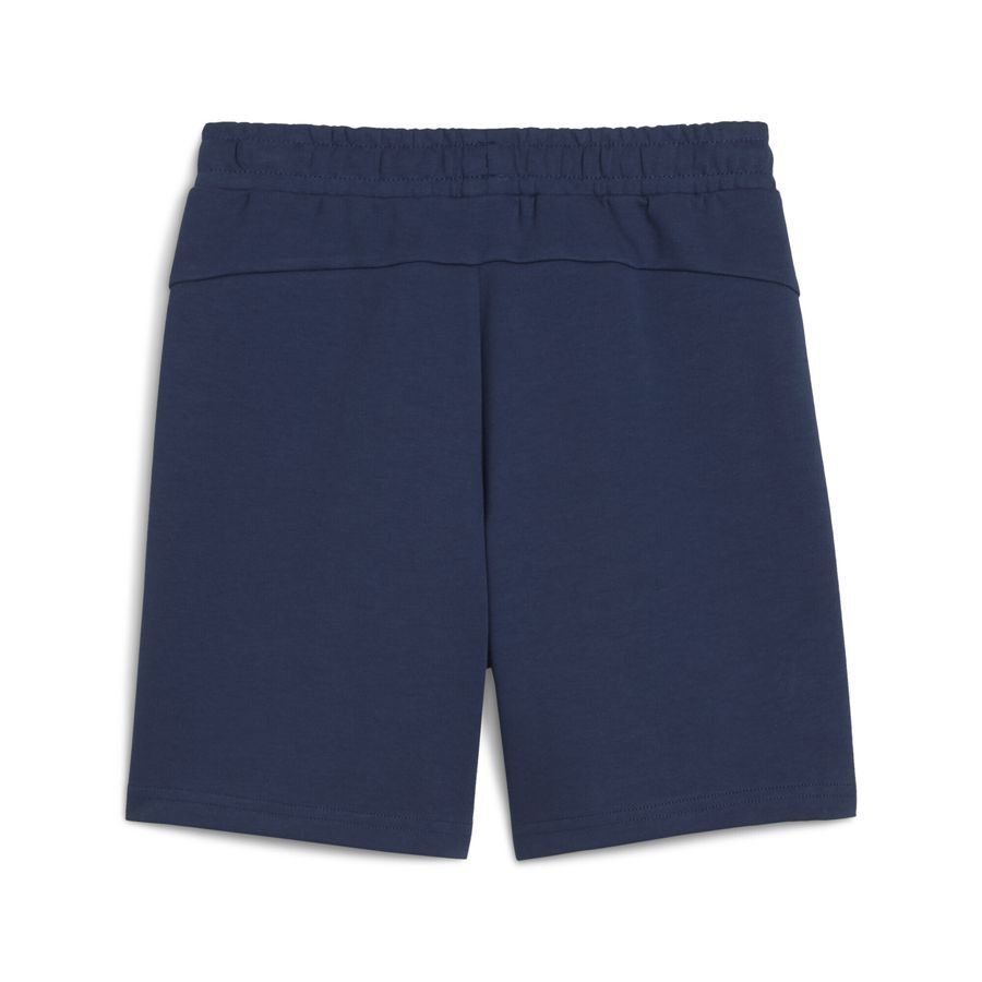 Puma Portugal Casuals Shorts