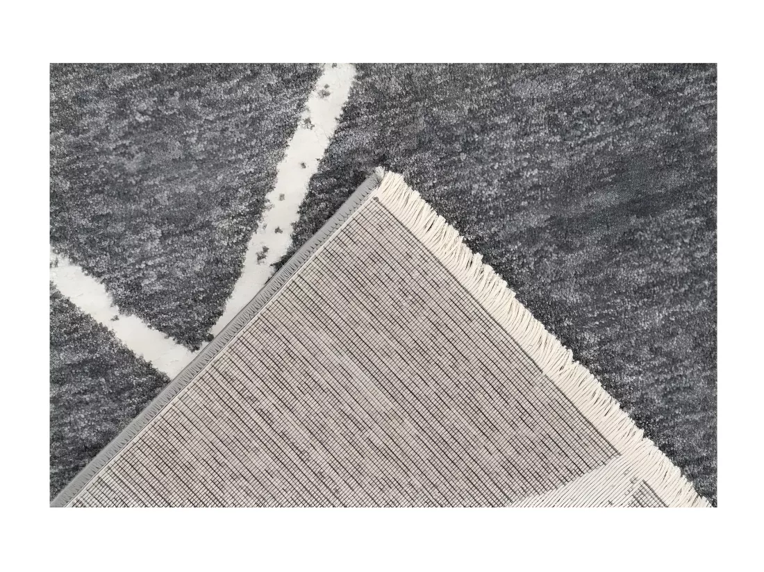 Tapis 290x200cm, design A105R coloris gris - Confort et élégance pour votre intérieur