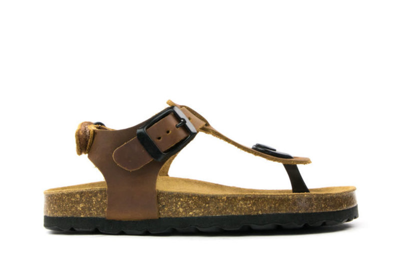 Develab 48179 Cognac