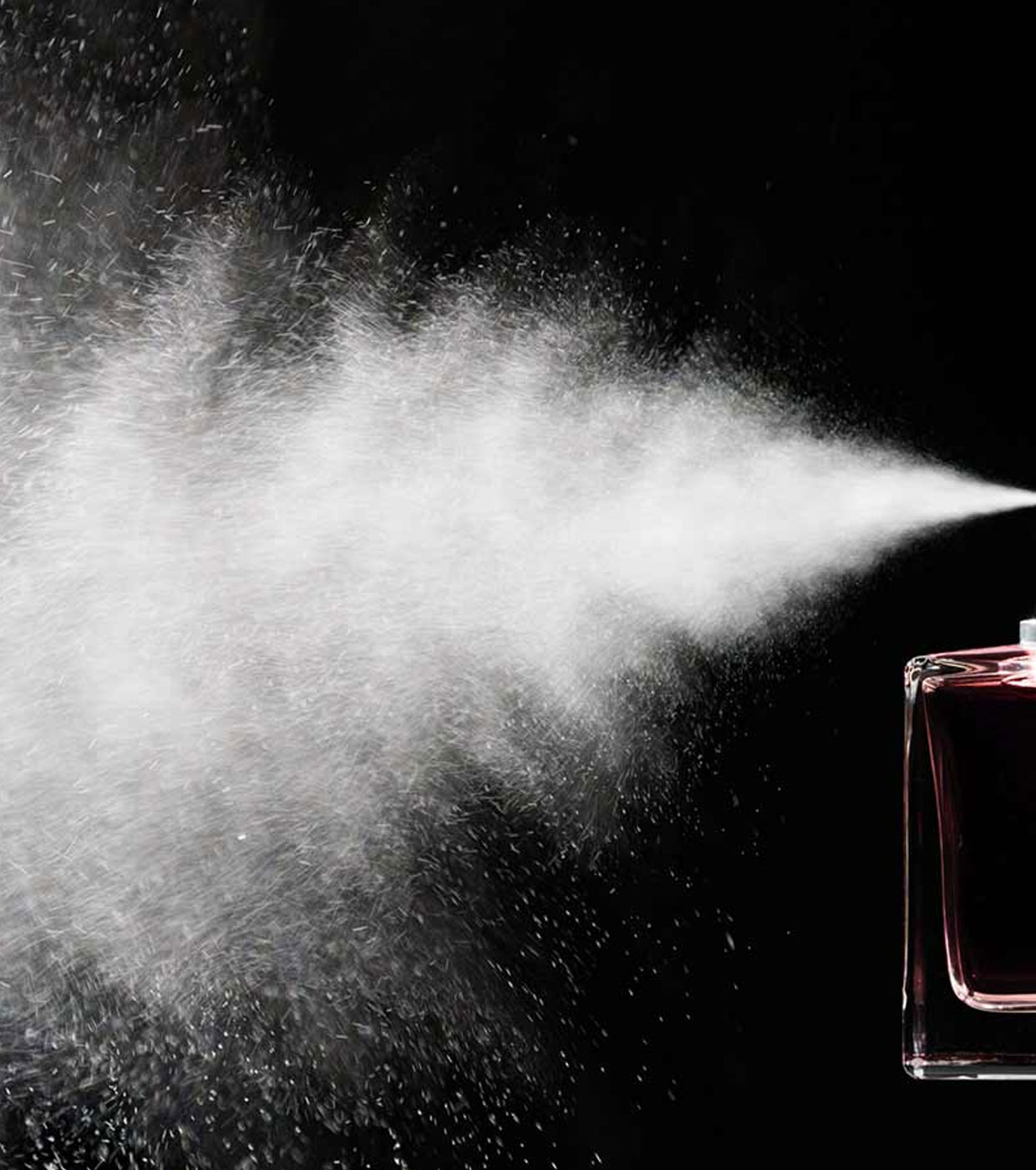 Miya Cosmetics - Eau de Parfum #MiyaNight