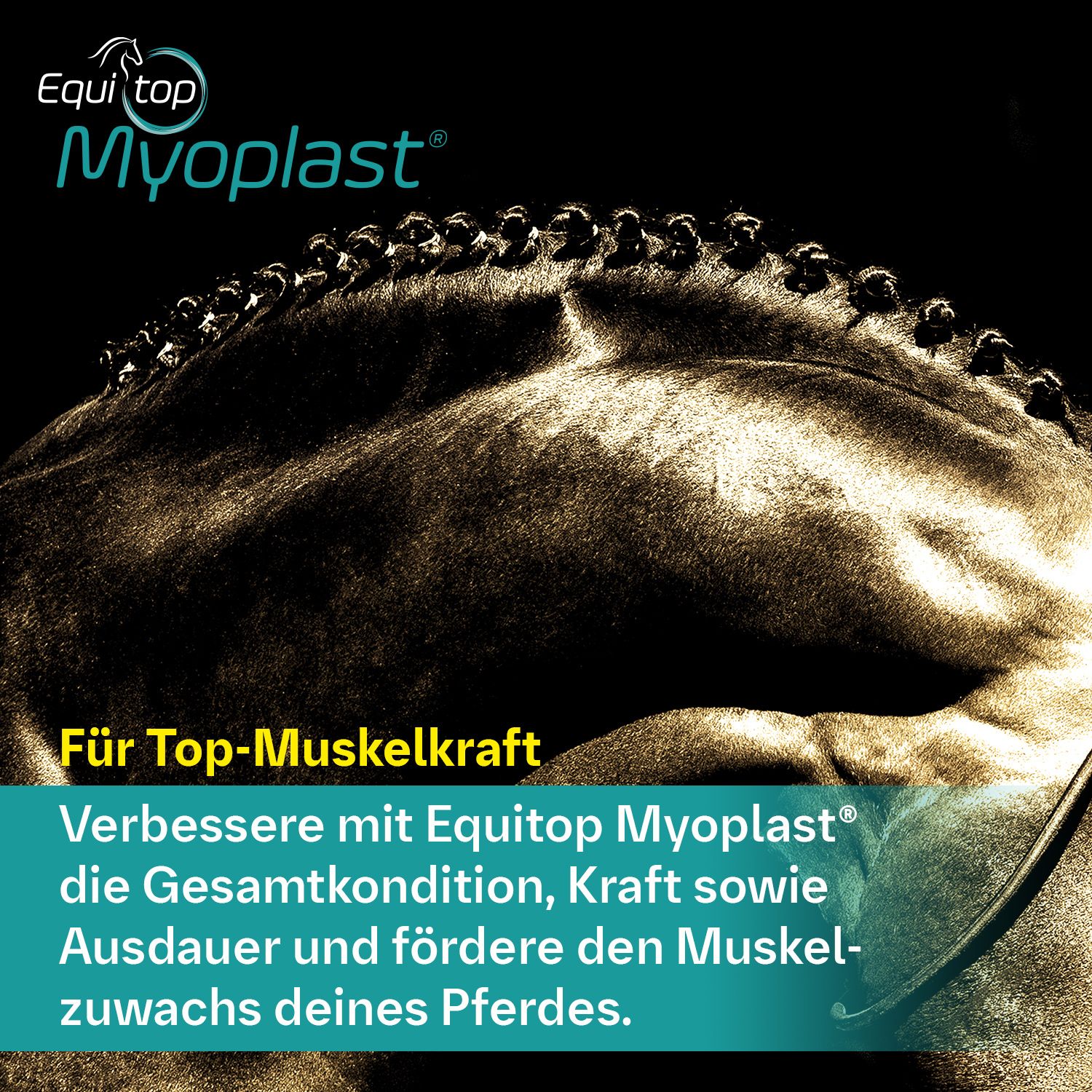 Equitop Myoplast Granulat