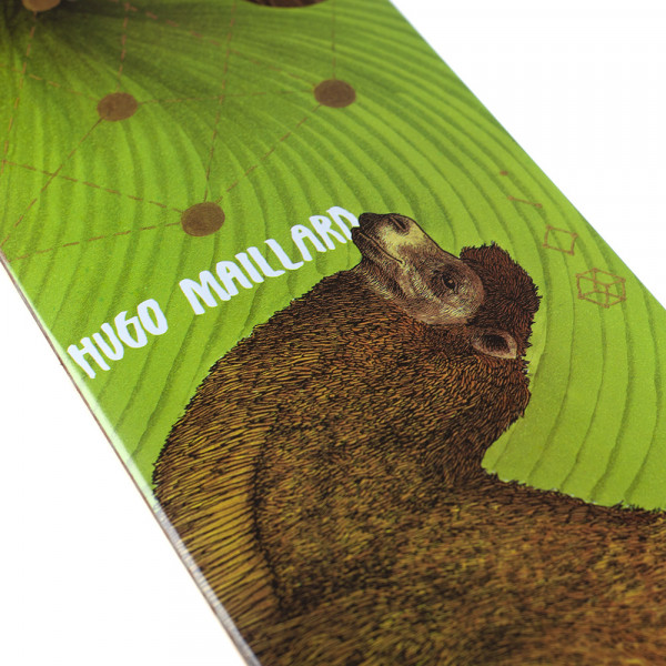 CONSEIL D'ADMINISTRATION DU ZOO DES CHAMEAUS HUGO MAILLARD