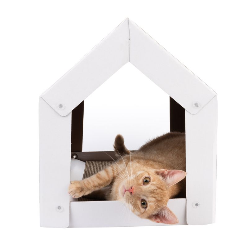 Maisonnette Home XL Hiver avec griffoir