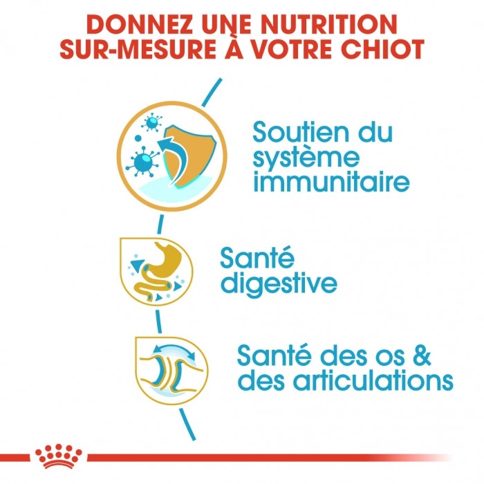 Royal Canin Bulldog Anglais Puppy - Croquettes pour chiot