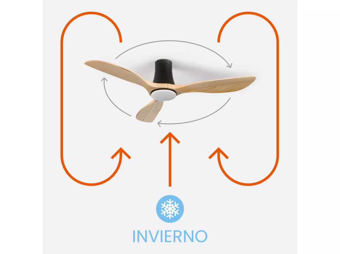 Ventilateur de plafond avec lumière 3 pales 56W 6 vitesses Dakota Dayron