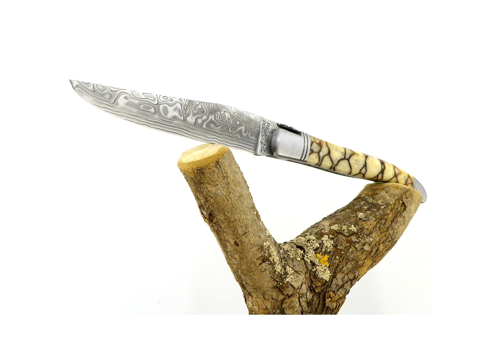VENDU - Couteau Laguiole avec un manche en corail Fossile Tigré et une lame Damas
