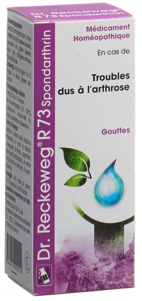 RECKEWEG R73 Spondarthrin<br>50 ml, Flasche, Tropfen zum Einnehmen, Flüssigkeit