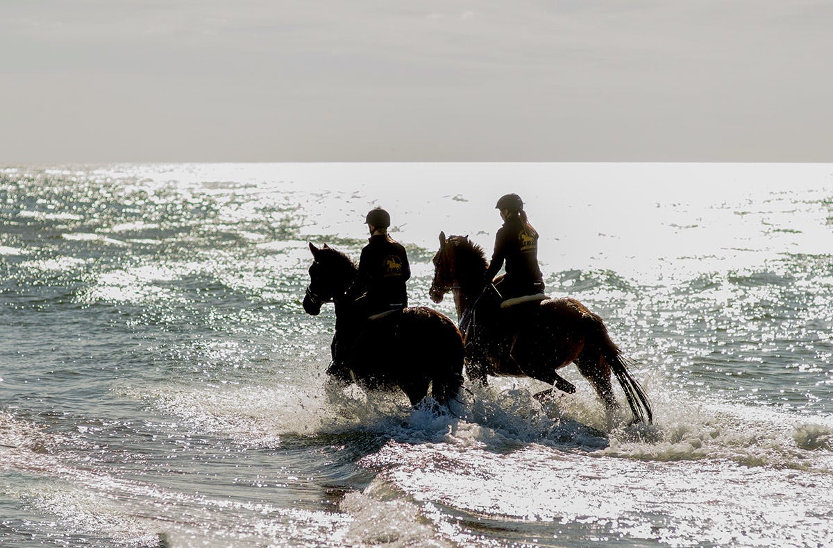 Strandritt Ostsee mit Probestunde Hirschburg