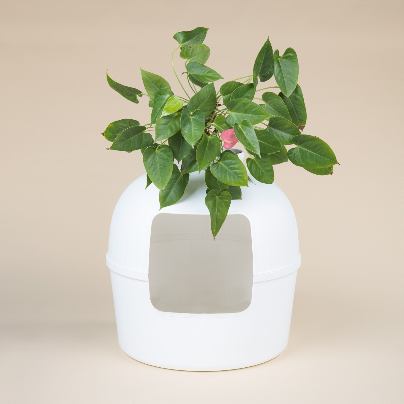 RHR Quality Katzentoilette Flower XXL weiß