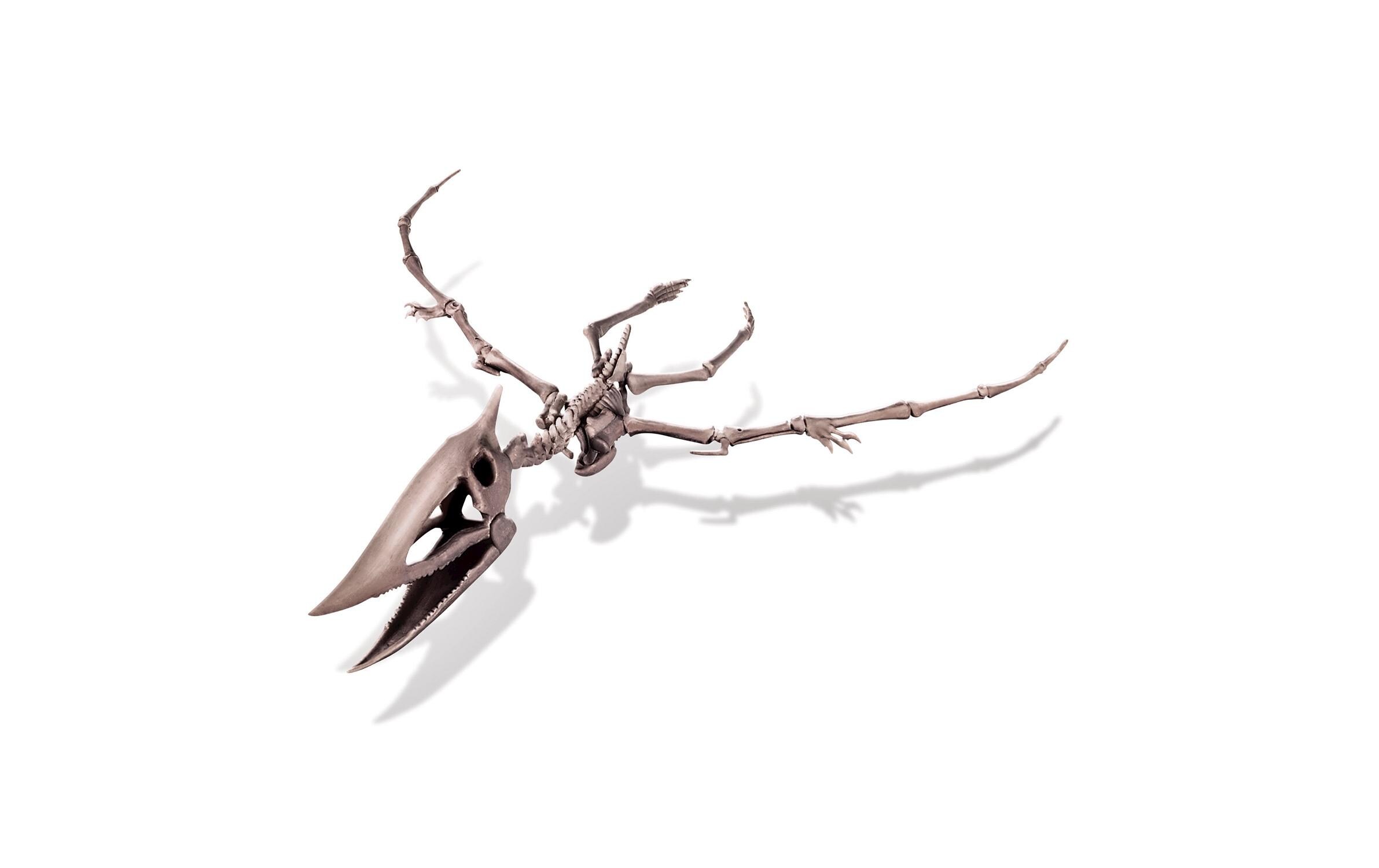 Dino Ausgrabungsset – PteranodonDinosaurier-Spielset