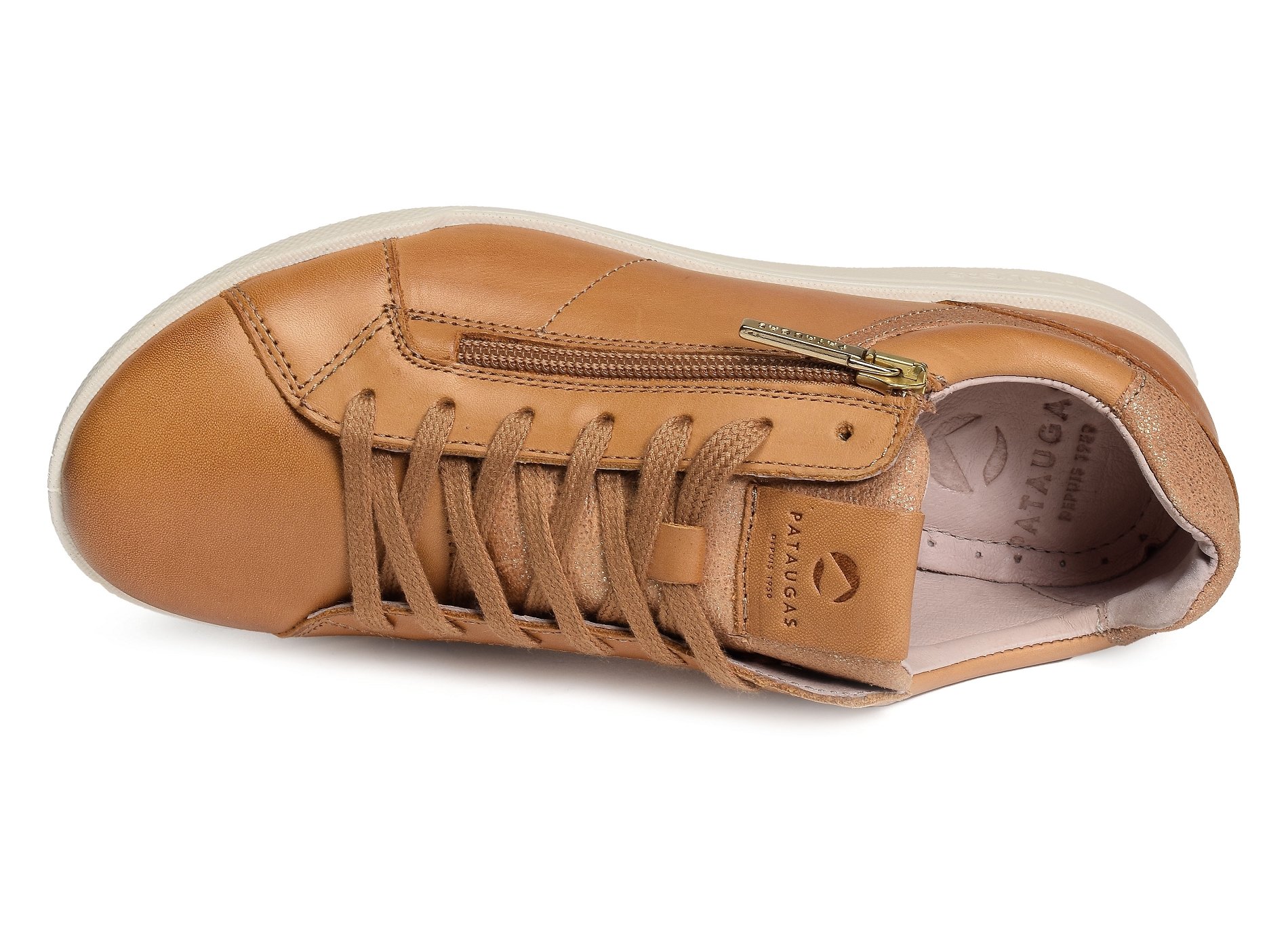 Palme l camel