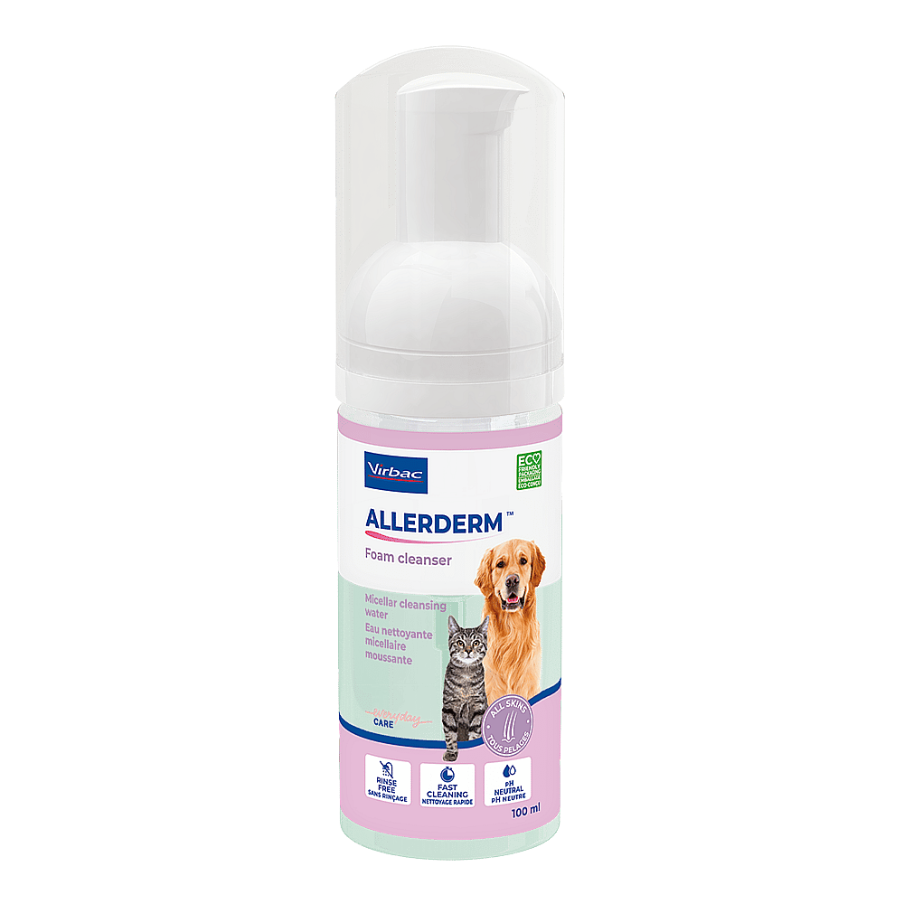 Allerderm Foam Hond Kat | 100 ml | 12649