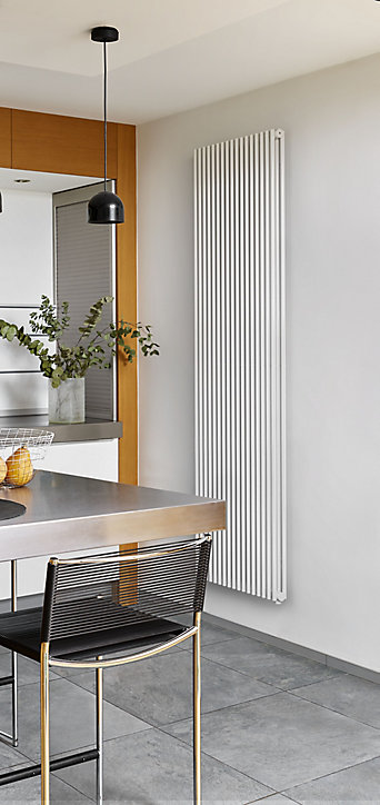 Radiateur eau chaude Acova Filin vertical double blanc 1972W