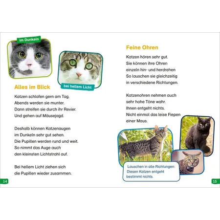 Tessloff WAS IST WAS Erstes Lesen easy! Band 10. Katzen - meine Lieblingstiere