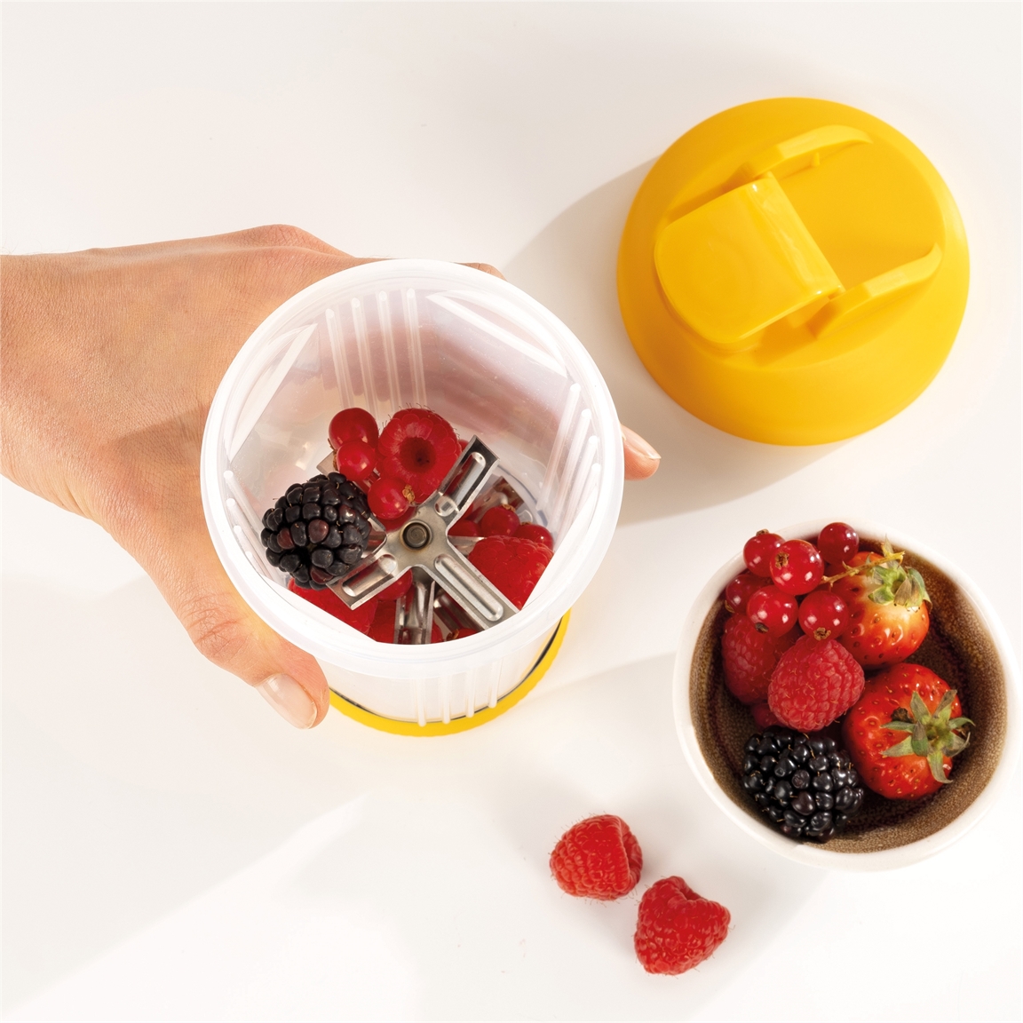 Mixeur à fruits
