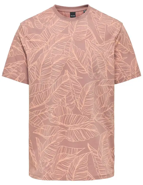ONLY & SONS T-shirt Vail 22030388