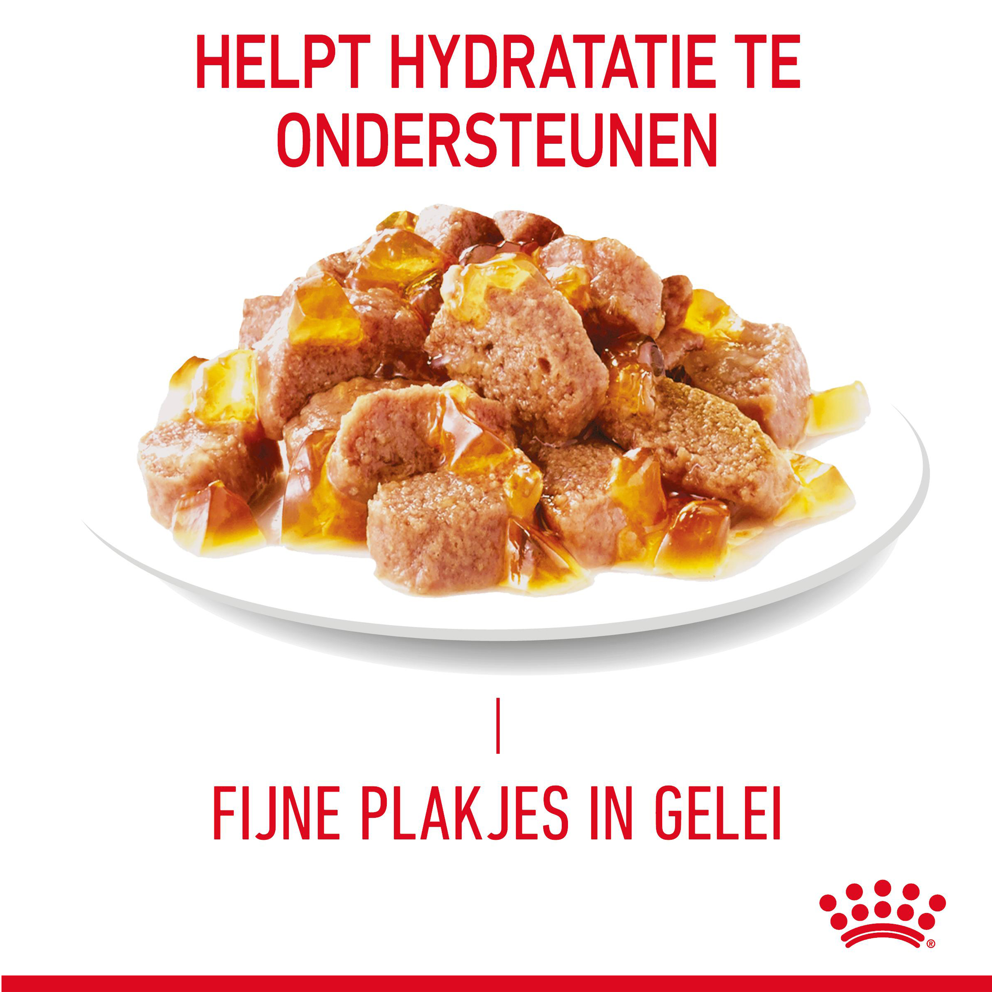 Royal Canin Light Weight Care in Jelly - Kattenvoer