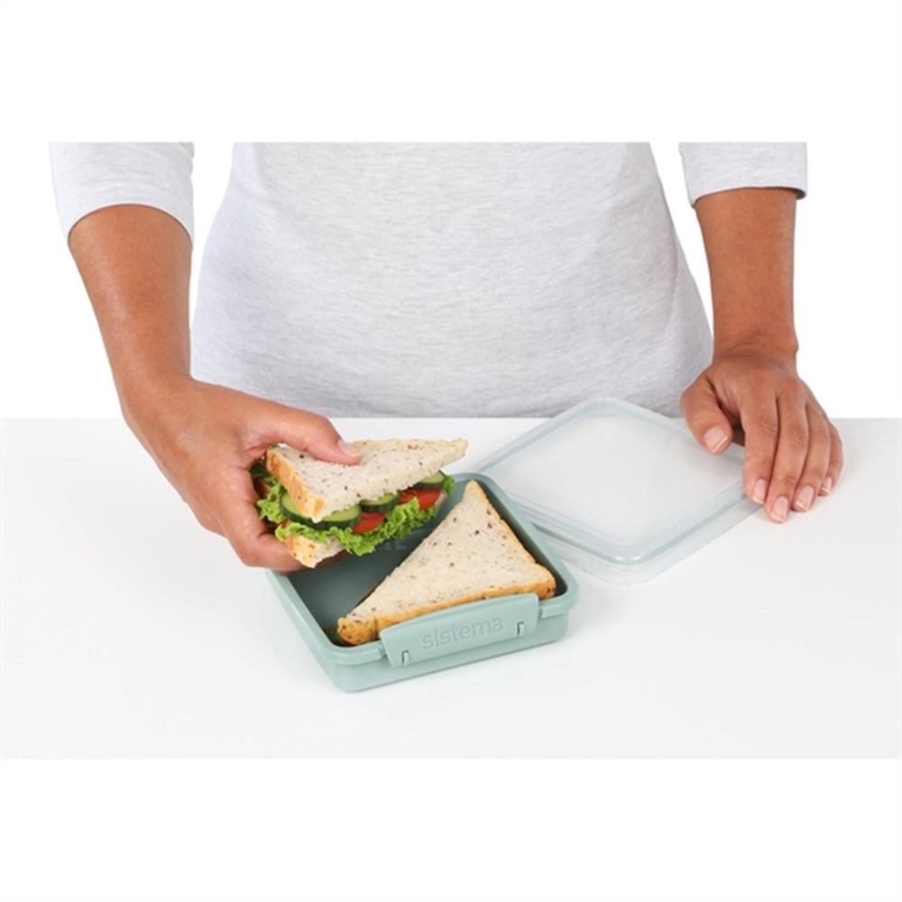 Renew To Go Sandwich Madkasse 450 ml Blå