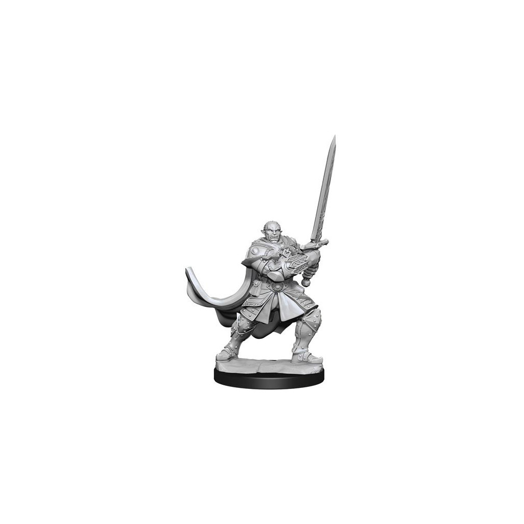 D&D Nolzur's Marvelous Unpainted Miniatures: Male Half-Orc Paladin