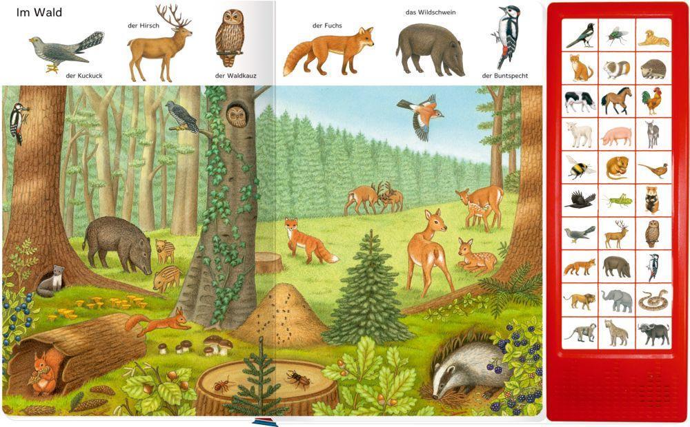 Bilder suchen - Wörter finden - So viele Tierstimmen, m. Soundleiste