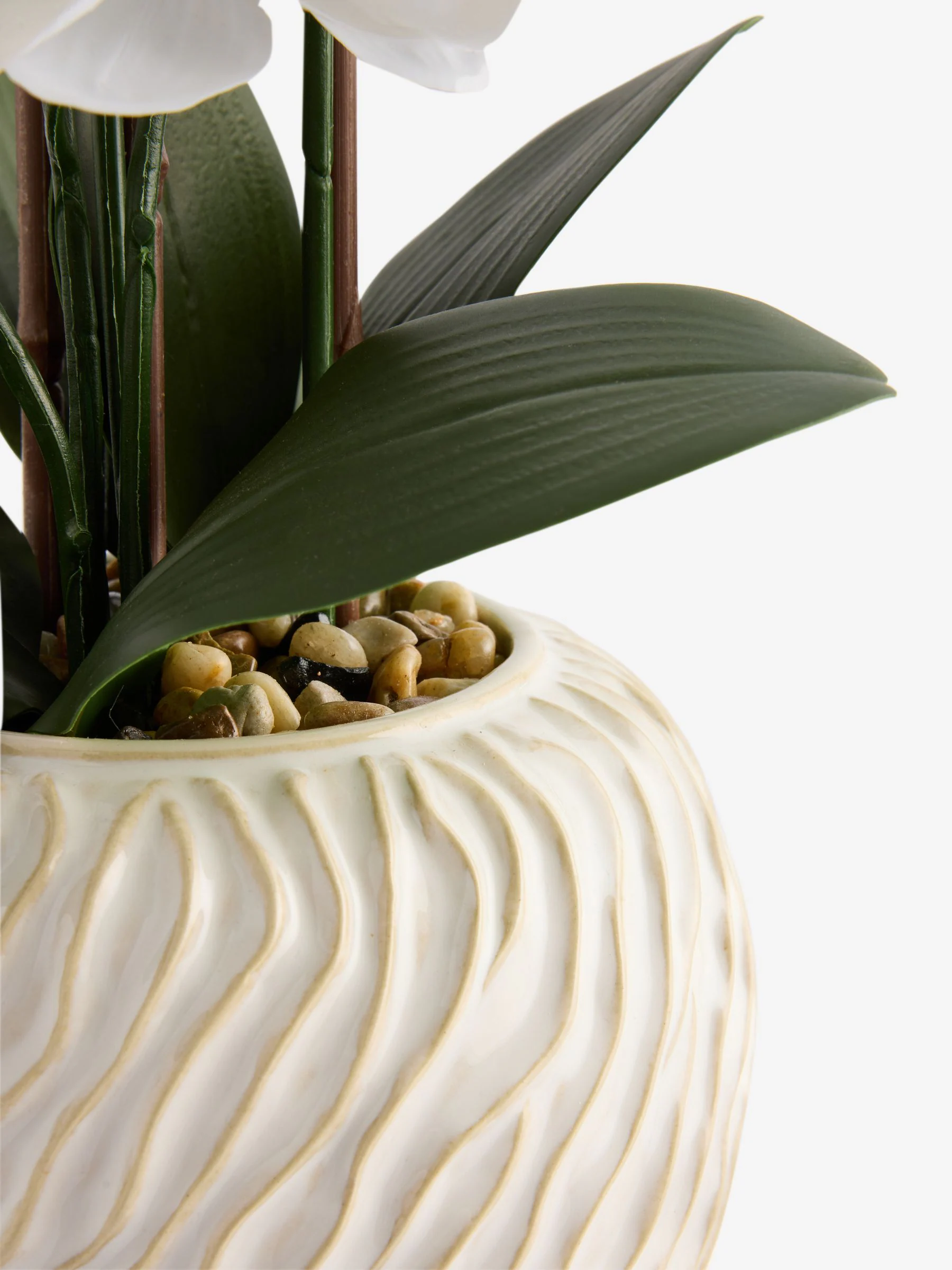 Artificial Orchid in Fairford Vase