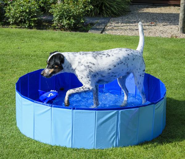 dobar® petlife Hundepool, blau, ca. Ø120/H30