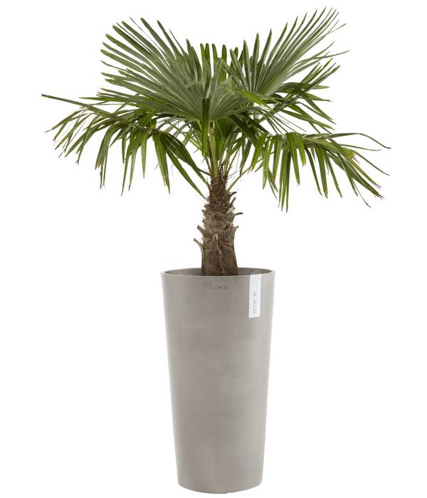 Ecopots Kunststoff-Topf Amsterdam hoch, rund