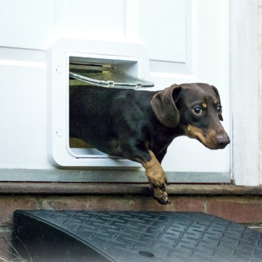 Porta automática Sure Petcare SureFlap branca com microchip