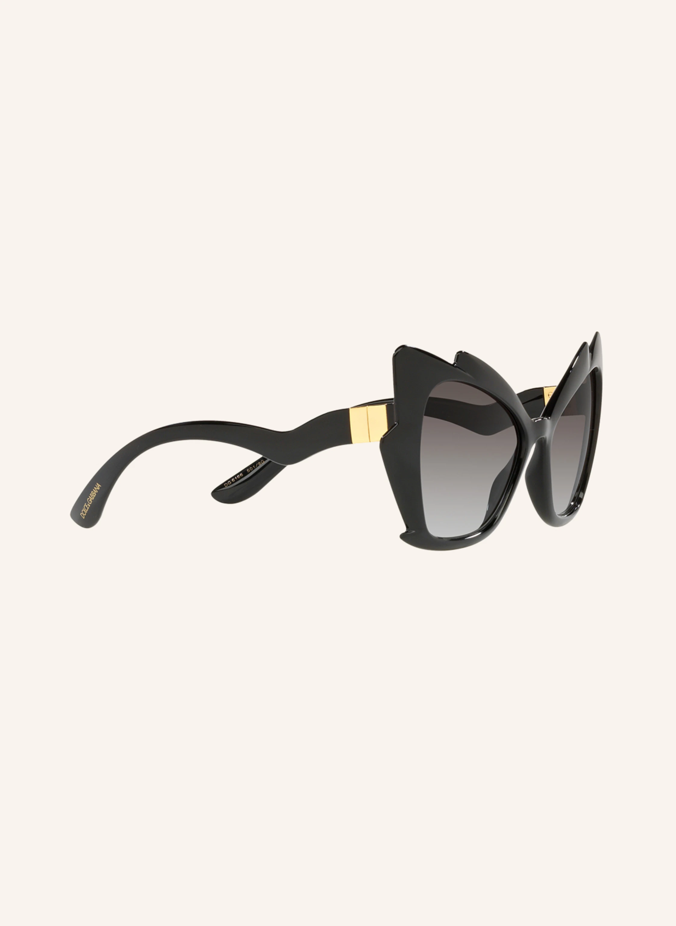 DOLCE & GABBANA Sonnenbrille DG 6166