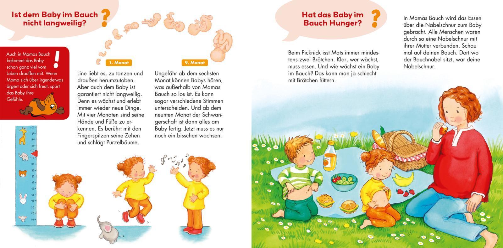 Wir bekommen ein Baby / Frag doch mal ... die Maus! Erstes Sachwissen Bd.8