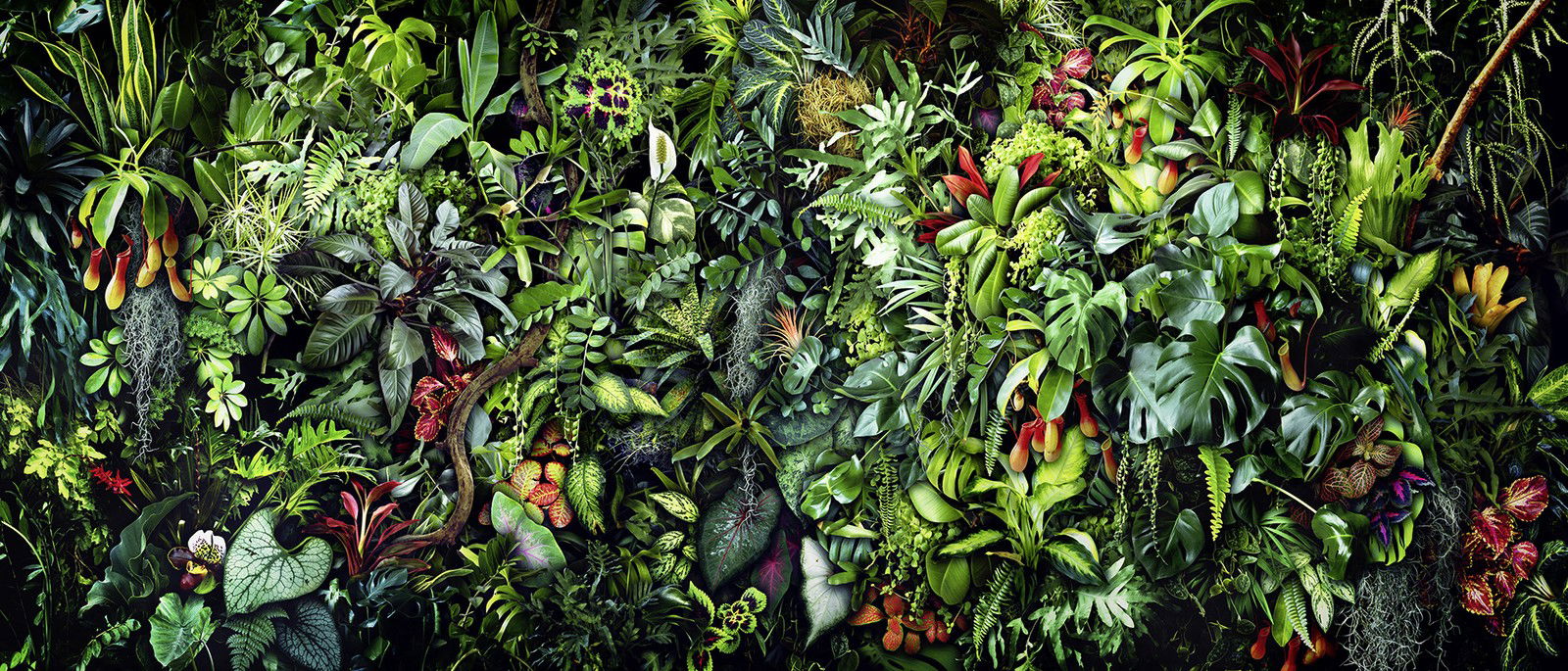 Lush Life III by Jesper Krijgsman - Limited Edition. Edition of: 150. Signed.
