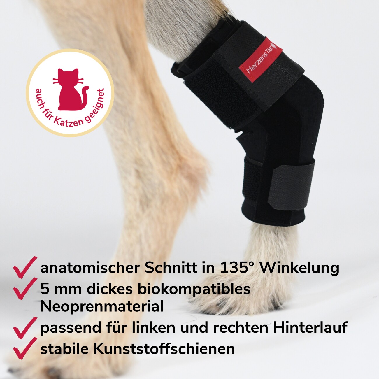 HerzensTier Sprunggelenkbandage Neopren XS
