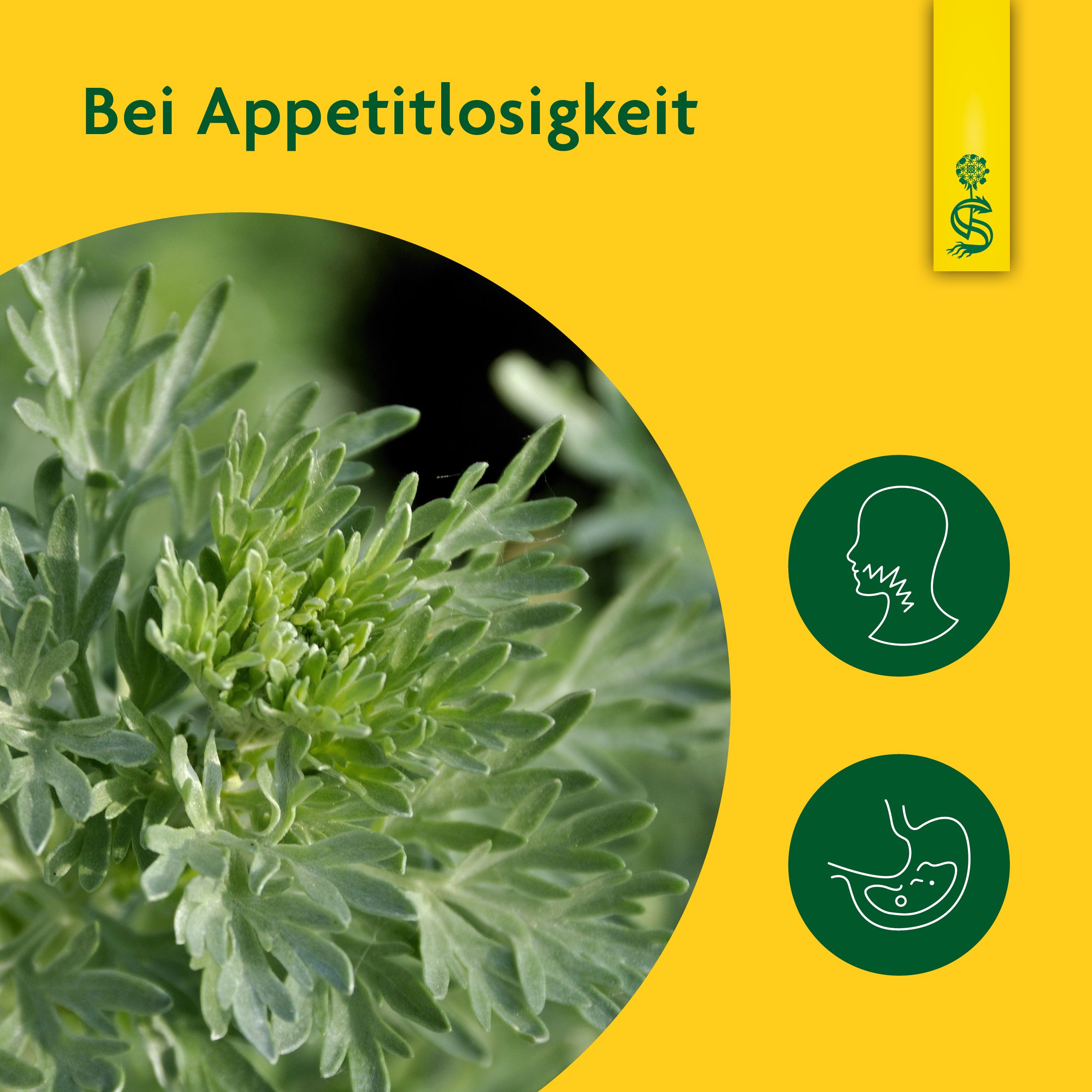 Schoenenberger® naturreiner Heilpflanzensaft Wermut