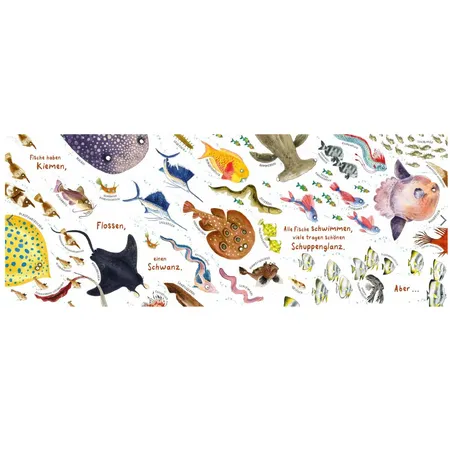 Thienemann Verlag Ausgeflippte Fische