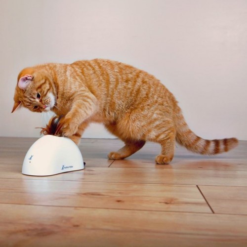 Cantinho interativo para gatos, branco