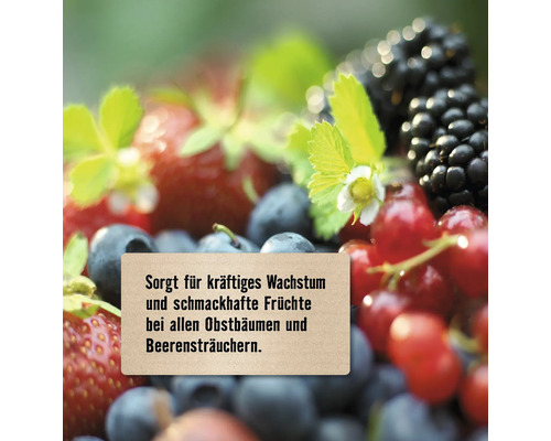 FloraSelf fruit- en bessenmeststof 2,5 kg