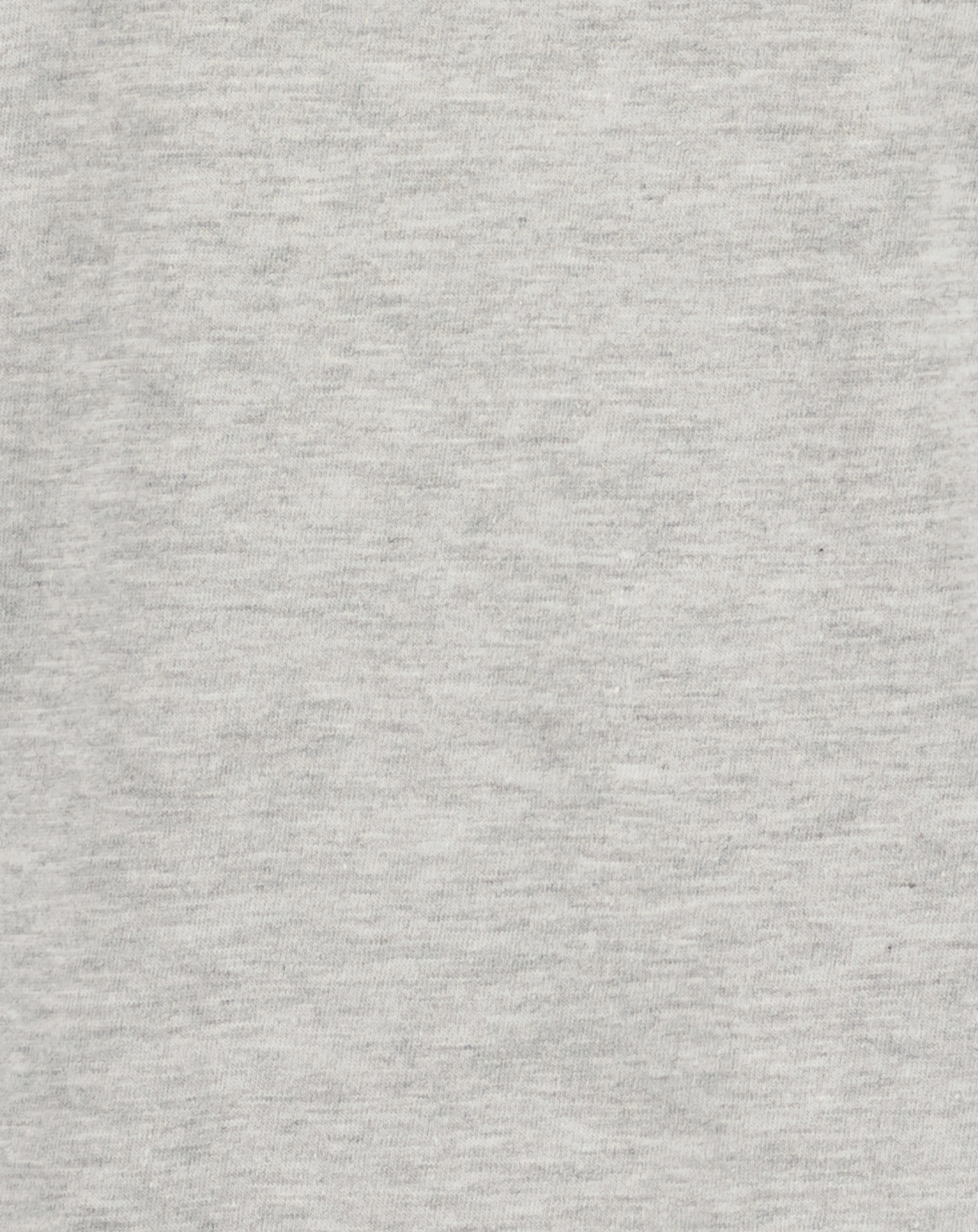 Langarmshirt WILD ONE in nebel