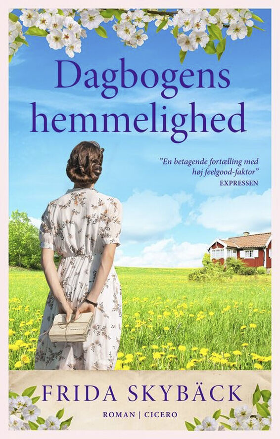 Bøger Dagbogens hemmelighed No color