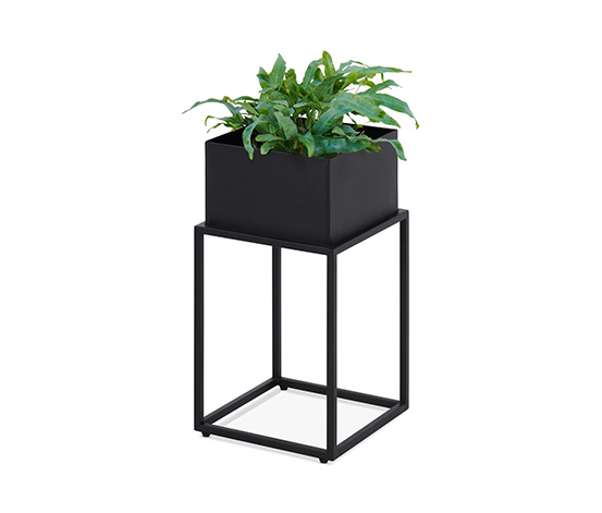 Pflanzenbox