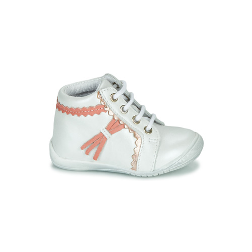 GBB - ACINTA - Blanc