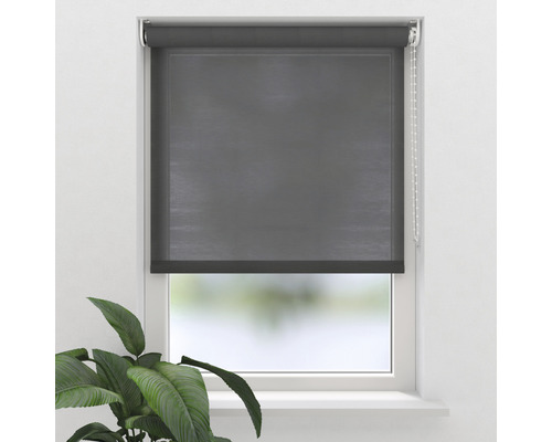 Soluna daglichtrolgordijn T21 transparant antraciet 60x190 cm