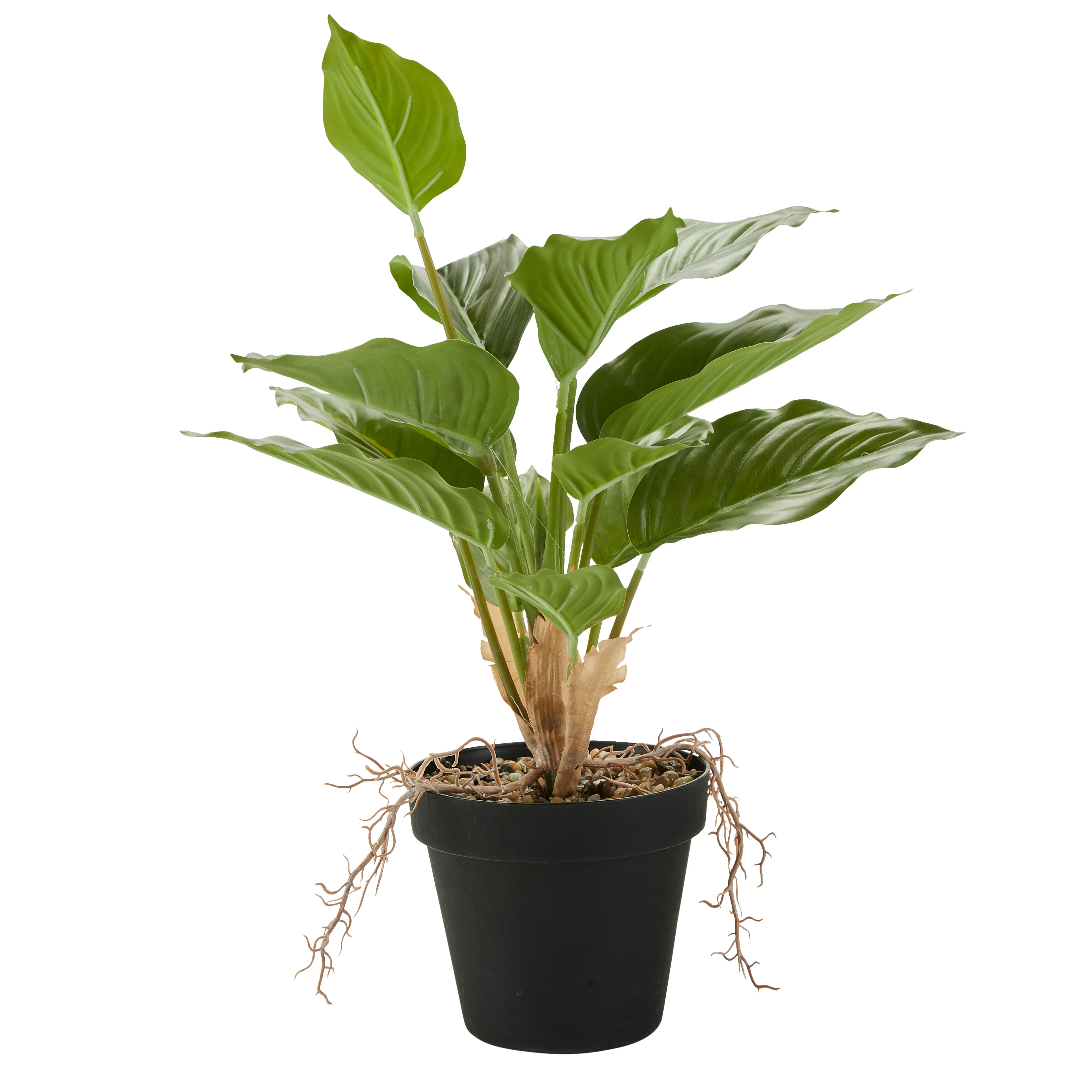 Bahne Interior  Fishbone kunstig plante