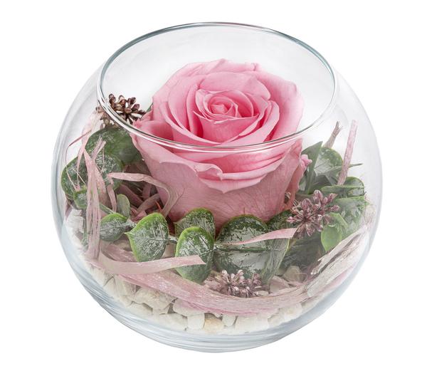 Dehner Kugelglas mit Longlife-Rose Doris,