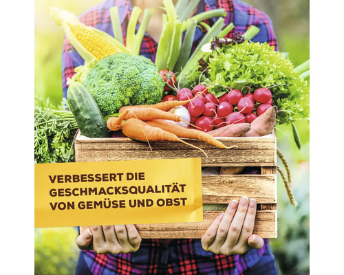 Plantenversterker Solabiol Veggie Boost 250 ml verbetert de weerstand tegen droogtestress, geschikt voor biologische landbouw